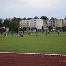 plewis 15